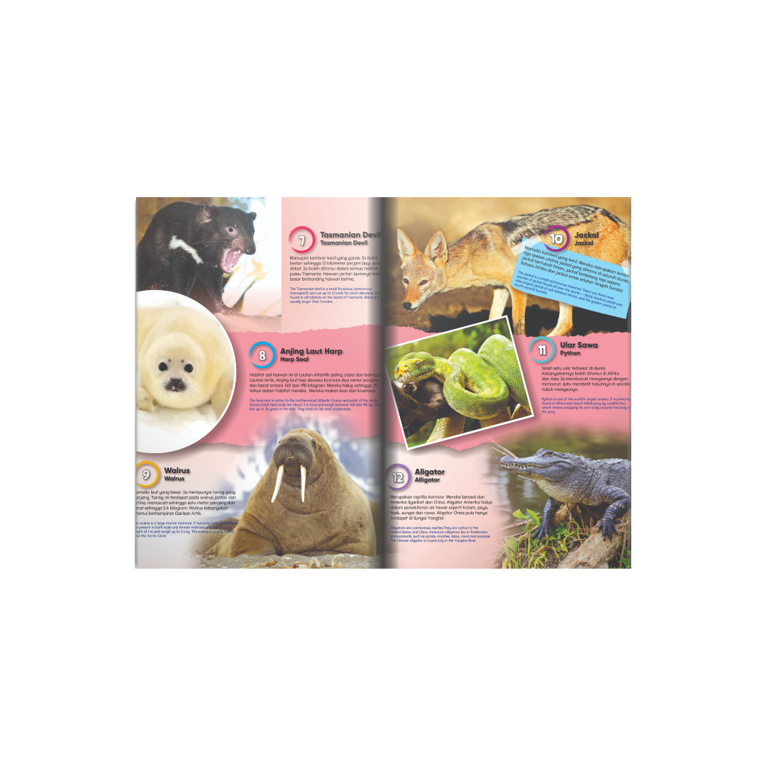 100 Fakta - Dwibahasa- 8 Tajuk