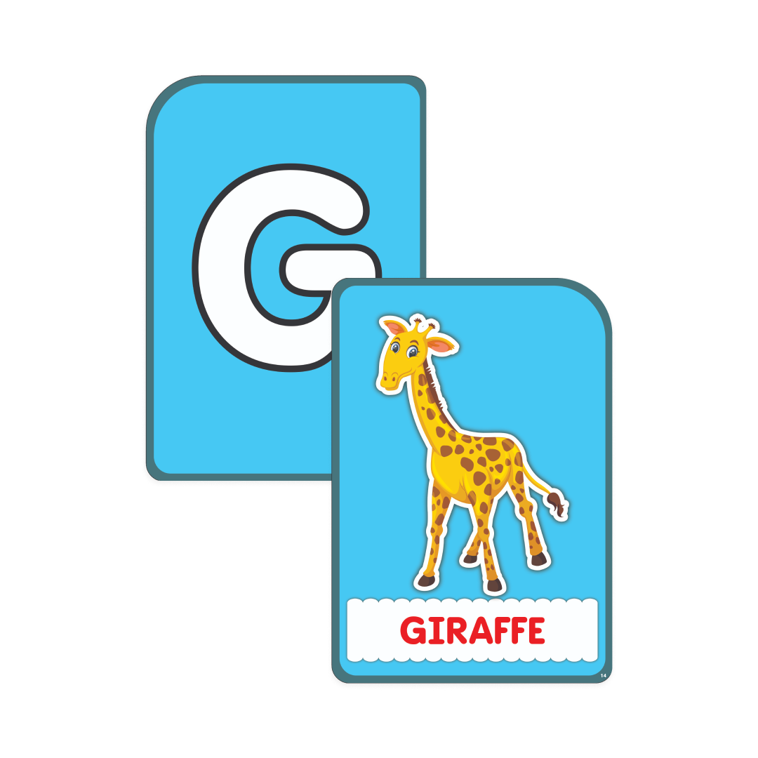 My First Alphabet Flash Cards - Capital Letters