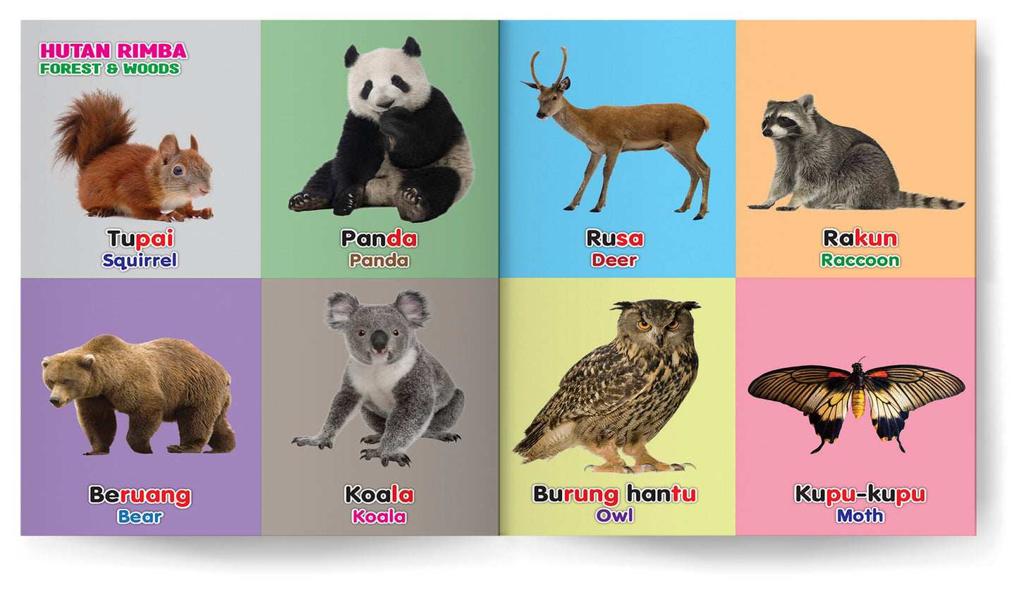 Buku Pertama Saya 100 Haiwan Si Kecil