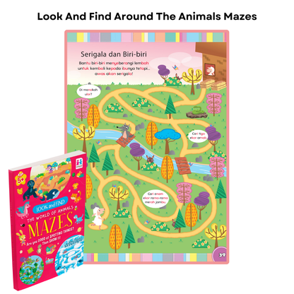 Set Mazes Look & Find