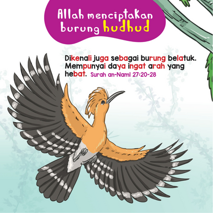 Cerita Al-Quran Si Kecil - Burung Dan Serangga Dalam Al-Quran