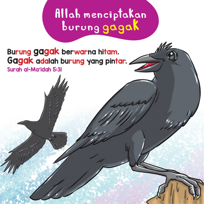 Cerita Al-Quran Si Kecil - Burung Dan Serangga Dalam Al-Quran