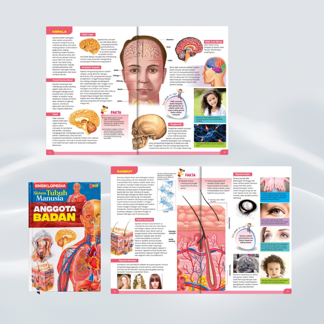 Ensiklopedia Sistem Tubuh Manusia