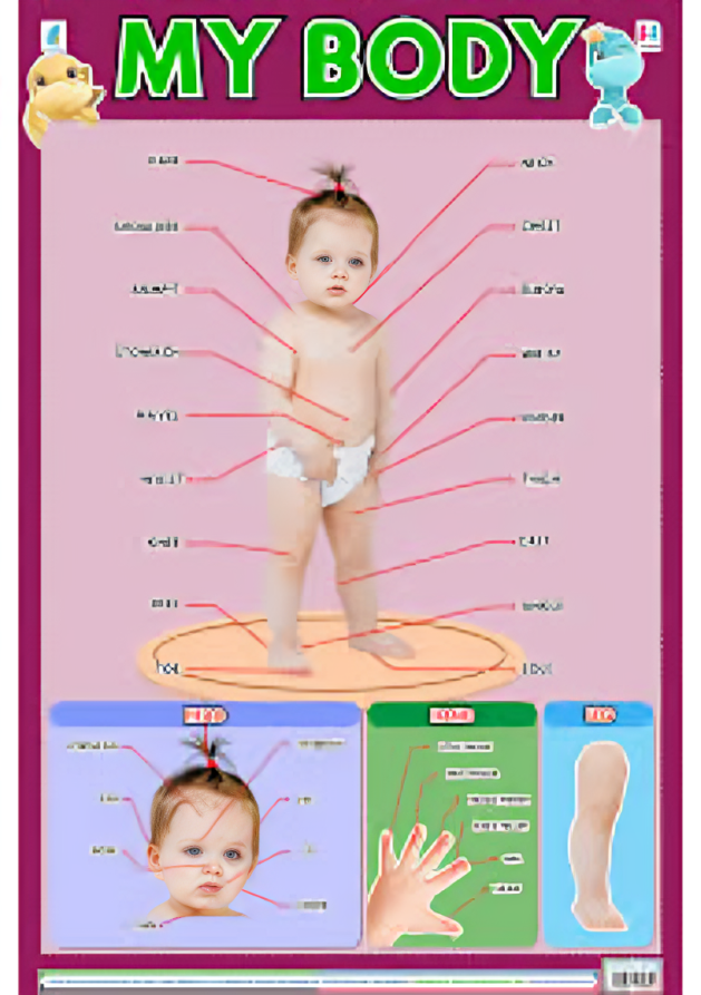 Poster My Body